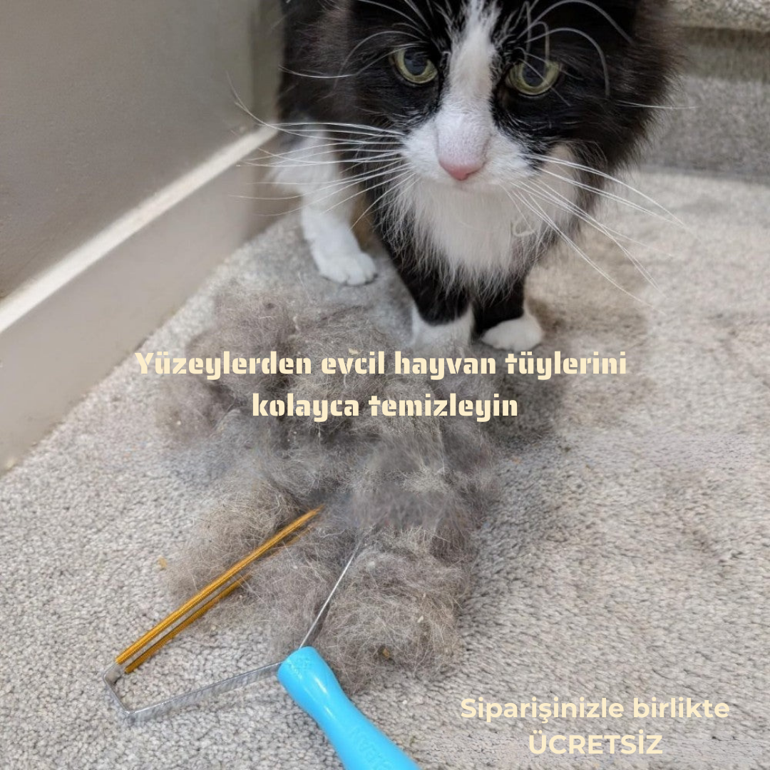 Cleenpet Kedi Bakım Makinesi